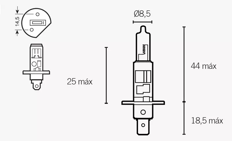 gmoto-1231846