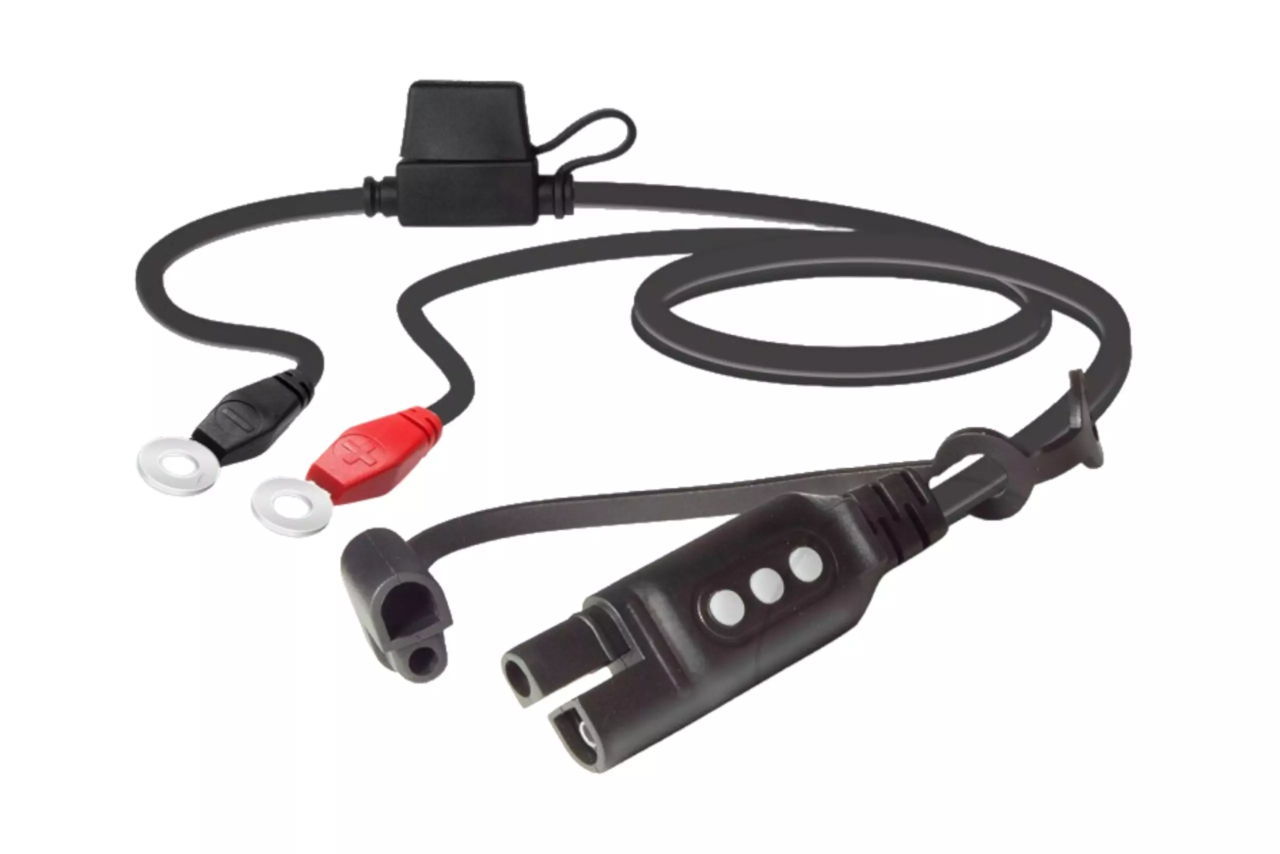 gmoto-1263132