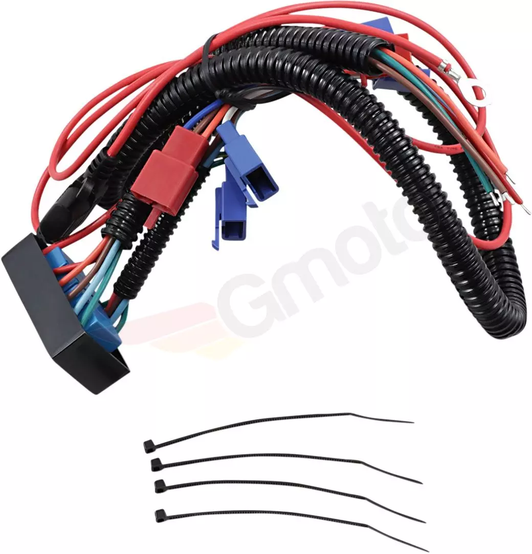 gmoto-1272523
