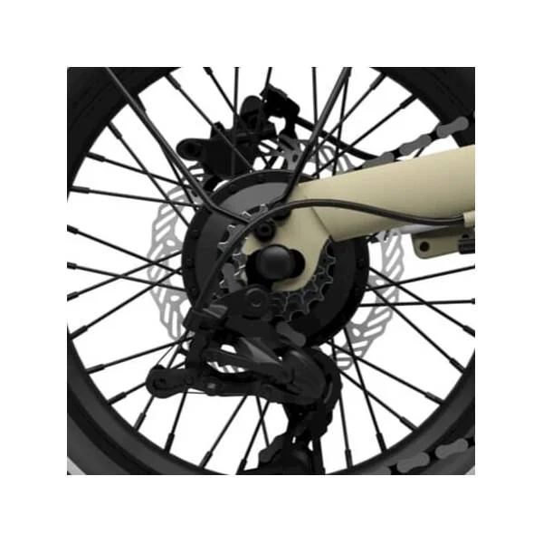 hollandbikeshop2-1305972