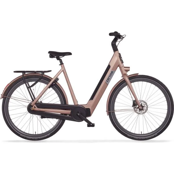 hollandbikeshop2-1343099