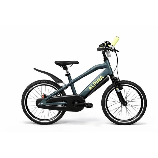 hollandbikeshop3-1386362