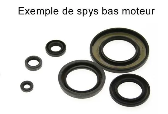 media.motoblouz5-650998